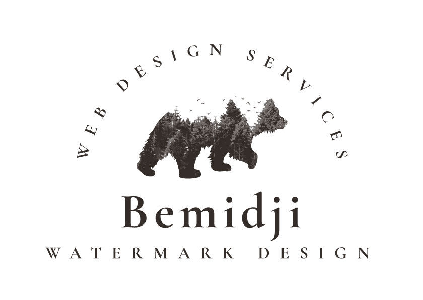 bemidji web design services