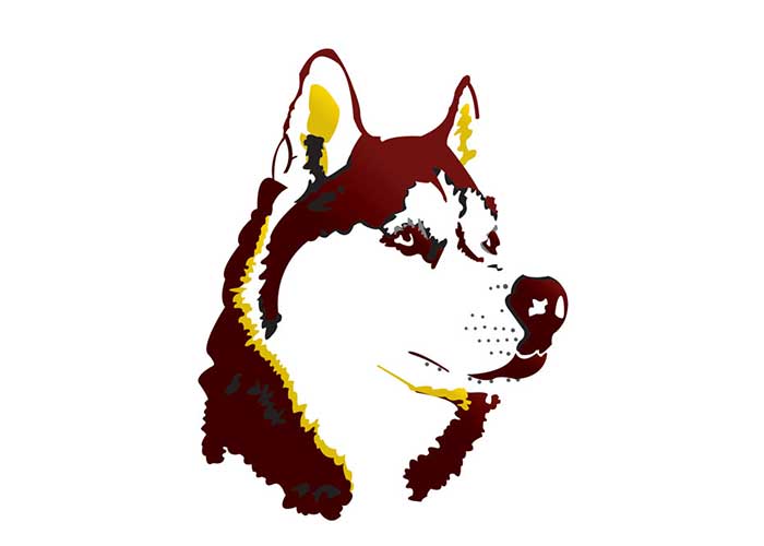 pillager high school husky