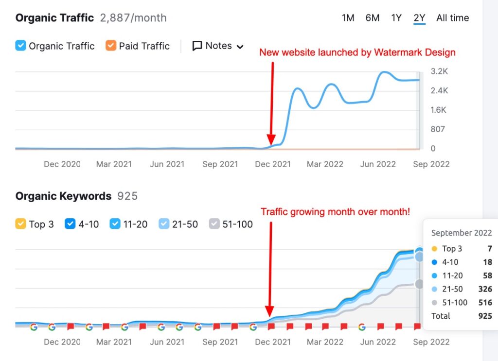 organic seo results mn 1