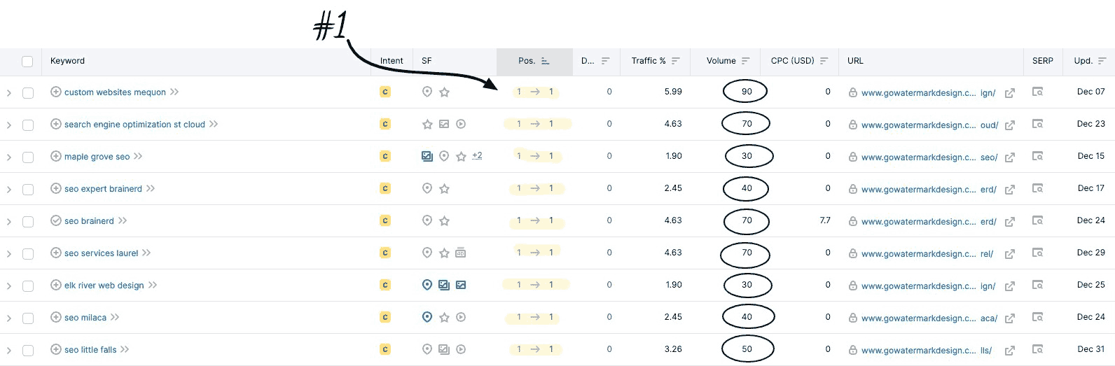 seo minnesota chart